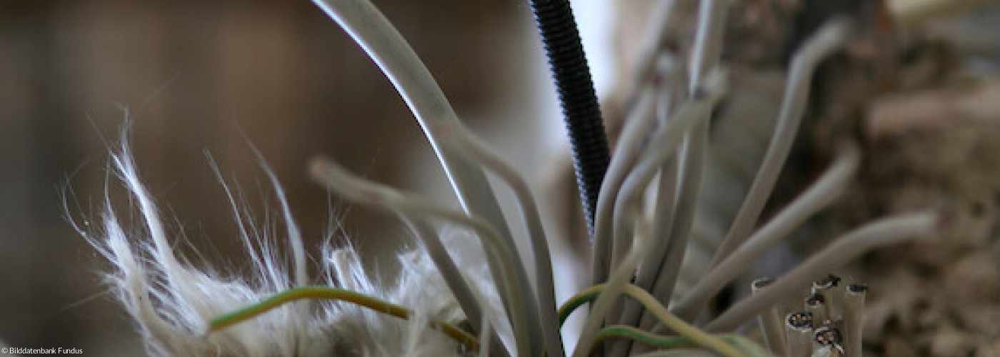 Kabel aus der Wand